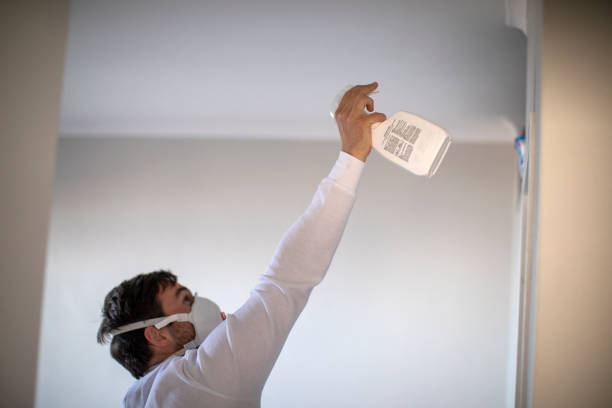 Best Local Mold Removal Service  in Centreville, MD